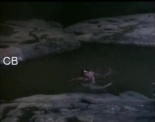 பழைய கேரளா நடிகை ஈரமான துணியுடன் டான்ஸ்