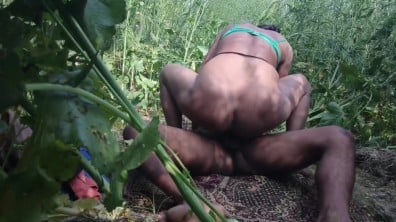 திண்டுக்கல் பெண் காய்கறி தோட்டத்தில் வெட்டவெளி ஓல்