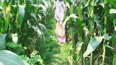 சோலை காட்டில் உஷார் செய்த ஆன்டியை ஓத்தேன்