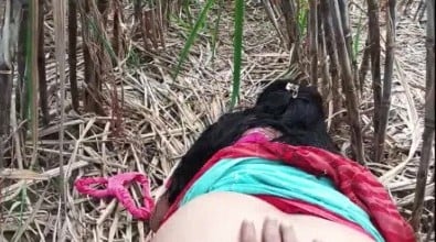 கரும்பு தோட்டத்தில் ஆன்டி இனிப்பான காம குறும்பு